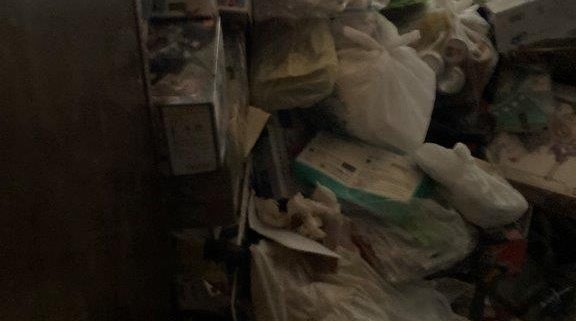 ゴミ屋敷の片付け前