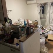 ゴミ屋敷の片付け前の状態