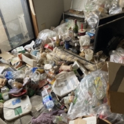 ゴミ屋敷・汚部屋の片付け前の状態