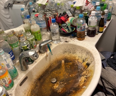 栃木県栃木市の2LDK賃貸住宅・洗面所。長年放置された飲料ペットボトルや缶、日用品がカウンターに山積みとなり、洗面ボウル内は茶色いサビと黒カビが広がる。排水詰まりと強い悪臭が発生しており、典型的なゴミ屋敷状態の洗面スペース。