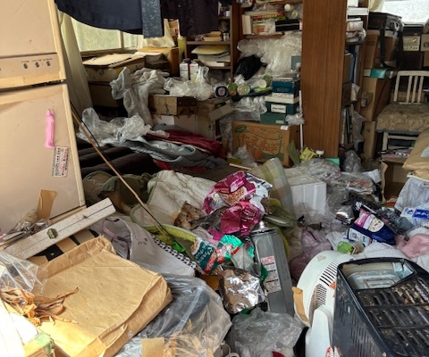 栃木県宇都宮市の4DK空き家室内。生活ゴミや紙類、衣類、日用品、空き容器が床一面に堆積し、生活動線が完全に失われたゴミ屋敷状態。